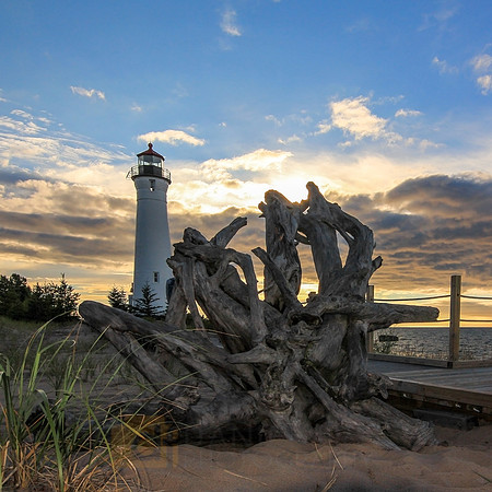 Driftwood at Crisp Point Lighthouse