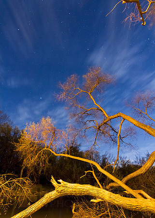 Odd Tree and Colored Lights