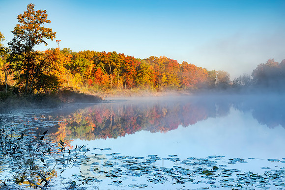 Frosty Fall